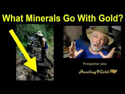 What Minerals Go With Gold - Prospector Jess (USGS International Gold Maps) thumbnail
