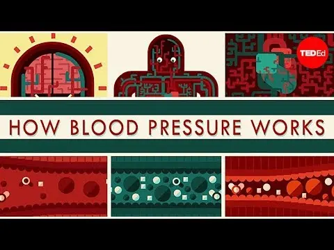 How blood pressure works - Wilfred Manzano thumbnail