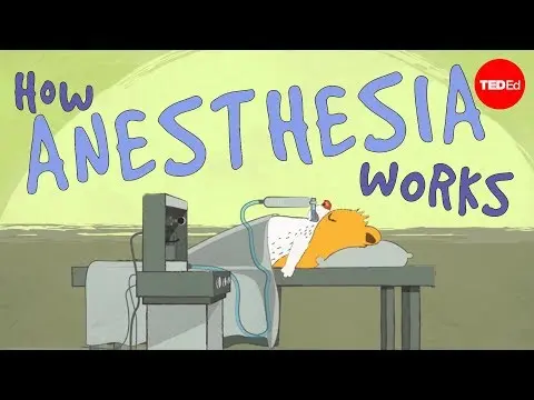 How does anesthesia work? - Steven Zheng thumbnail