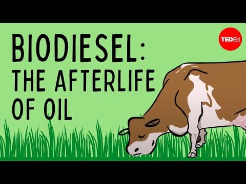 Biodiesel: The afterlife of oil - Natascia Radice thumbnail