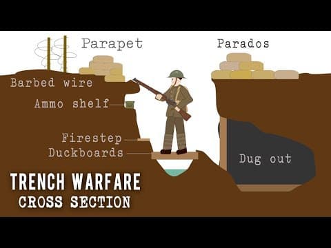 Trench Systems (Cross Section) thumbnail