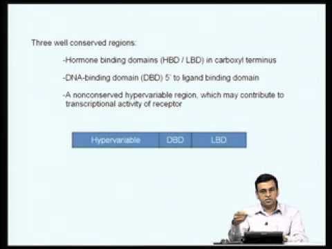 Mod-06 Lec-21 Regulation of gene expression by steroid hormones thumbnail