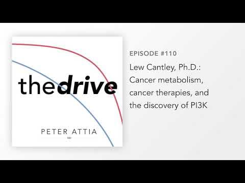 How Does Cancer Metabolism Shape Treatment? thumbnail