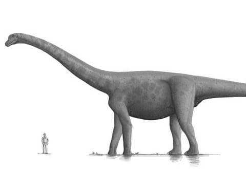 How Tall Can Humans Actually Grow? thumbnail