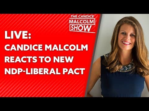 Candice Malcolm reacts to new NDP-Liberal Pact thumbnail