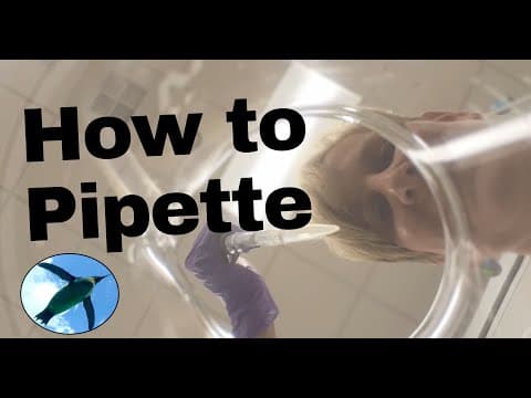Lab Skills: How to Pipette thumbnail