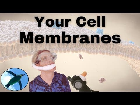 Cell Membranes EXPLAINED! thumbnail