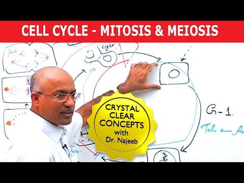 Cell Cycle and Genes | Mitosis & Meiosis thumbnail
