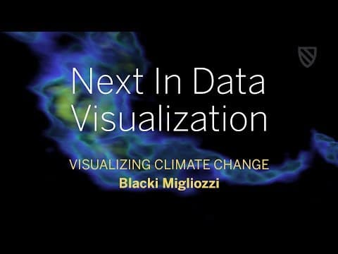Next in Data Visualization | Blacki Migliozzi || Radcliffe Institute thumbnail