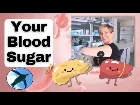 How Does the Pancreas Control Blood Sugar Levels? thumbnail