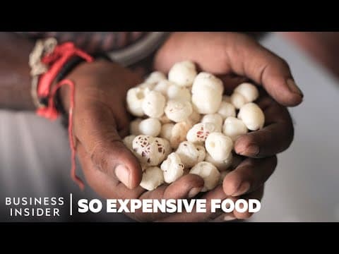 Why Fox Nuts (Water Lily Seeds) Are So Expensive | So Expensive Food | Business Insider thumbnail