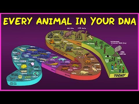 Every Animal In Your DNA thumbnail