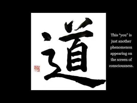 "Wu Hsin" (Part 8b) a.k.a. Roy Melvyn - Powerful Pointers to the Truth - Non-Duality thumbnail