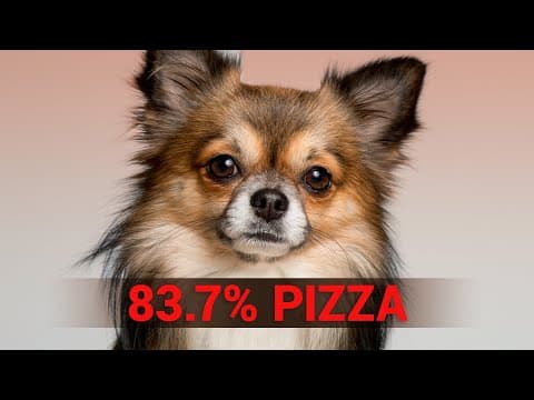 Do Neural Networks Understand Concepts Like Humans? thumbnail