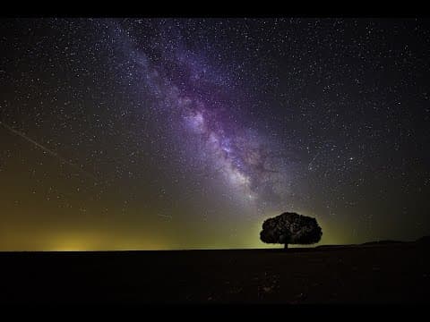 The Fifth Force of Nature thumbnail