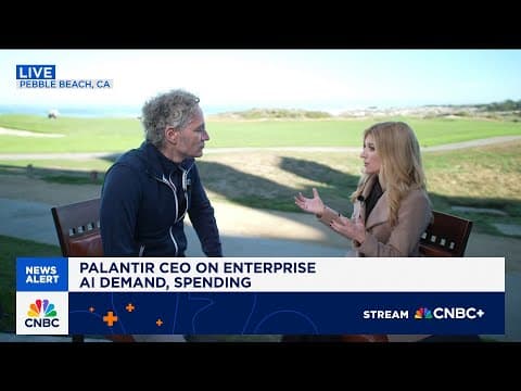 Palantir CEO Alex Karp: We've printed venture results for the average American thumbnail