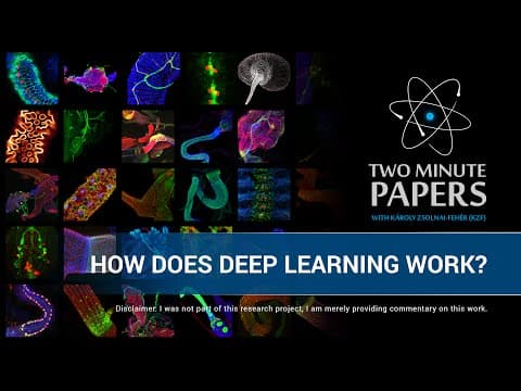 How Does Deep Learning Work? | Two Minute Papers #24 thumbnail