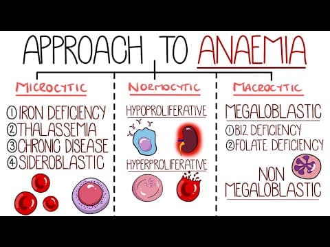 Anaemia Made Easy (An Approach to Anaemia) thumbnail
