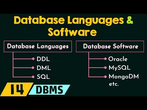 Database Languages and Software thumbnail