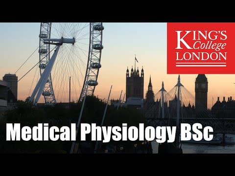 What Can You Expect from a BSc in Medical Physiology? thumbnail