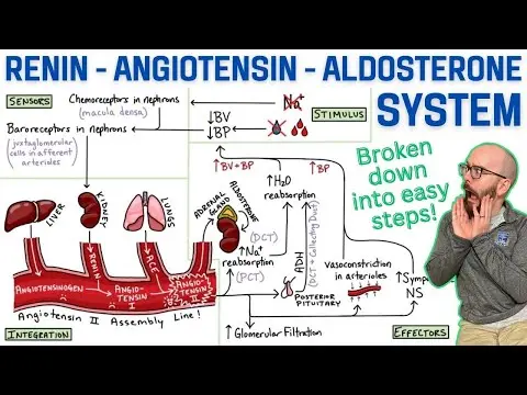 Renin-Angiotensin-Aldosterone System (RAA System) | Made easy with a step-by-step explanation! thumbnail