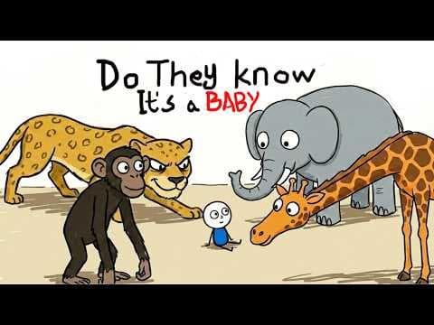 How do animals recognize and react to babies? thumbnail