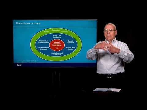 Intersectoral Approaches for Better Health | Essentials of Global Health with Richard Skolnik thumbnail