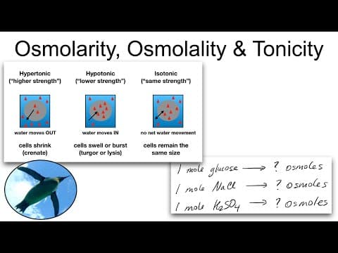 Chemistry Basics: Osmolarity, Osmolality and Tonicity thumbnail