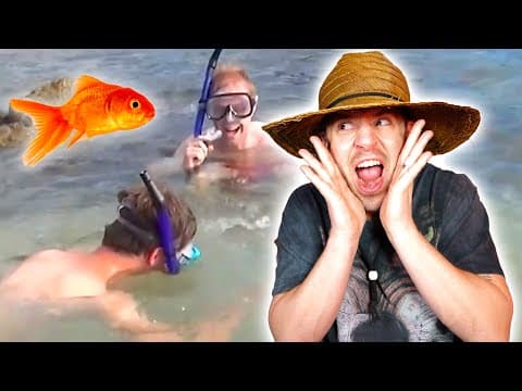 How to Overcome a Fear of Fish and Social Anxiety thumbnail
