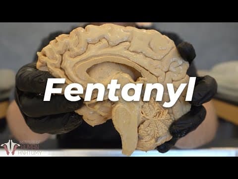 Why Is Fentanyl So Dangerous? thumbnail