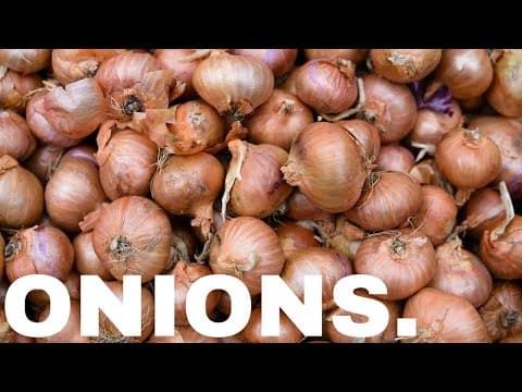 The Stinking Story of Onions | Ordinary Things thumbnail