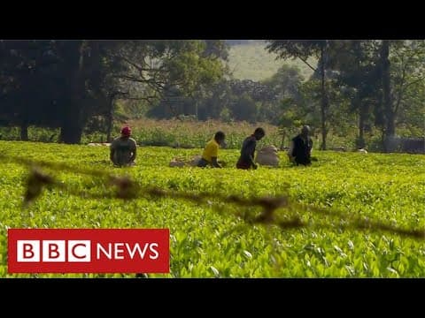 Kenya’s colonial inequalities continue, decades after independence - BBC News thumbnail