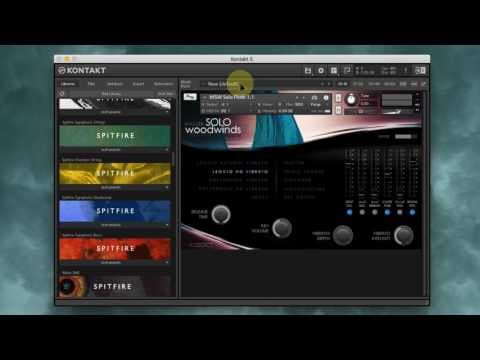 What Are the Features of the Master Solo Woodwinds Flute? thumbnail
