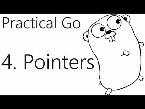 Pointers - Go Lang Practical Programming Tutorial p.4 thumbnail
