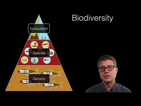 Ecosystem Diversity thumbnail