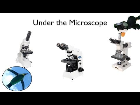 Under the Microscope thumbnail