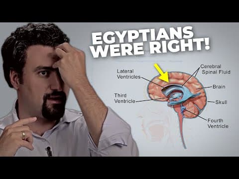 CONFIRMED STUDY: This Harvard Expert Shows How to Activate Your Third Eye thumbnail