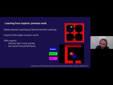 Social learning in independent multi-agent reinfor… | Kamal N’dousse | OpenAI Scholars Demo Day 2020 thumbnail