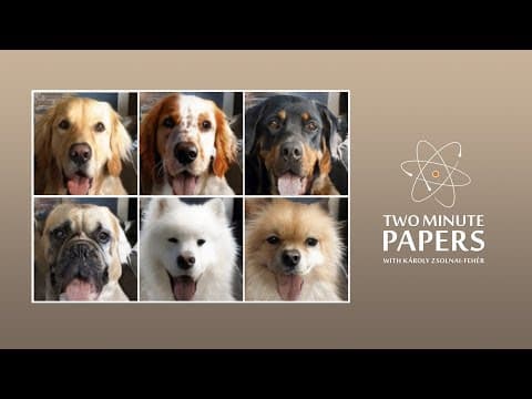 How Can AI Transform Images With Minimal Training Data? thumbnail