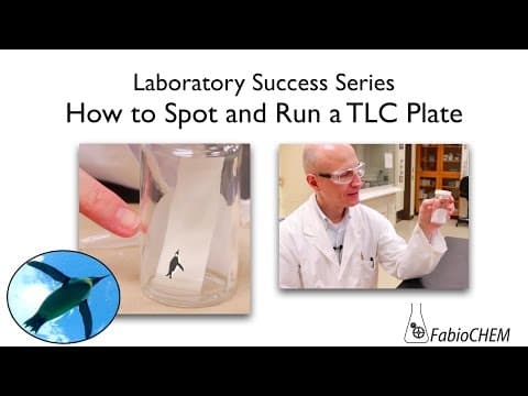 How to Spot and Run a TLC Plate for Analysis thumbnail