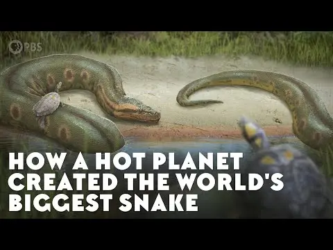 How a Hot Planet Created the World's Biggest Snake thumbnail