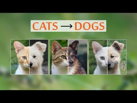 How Does StarGAN 2 Transform Cats into Dogs and More? thumbnail
