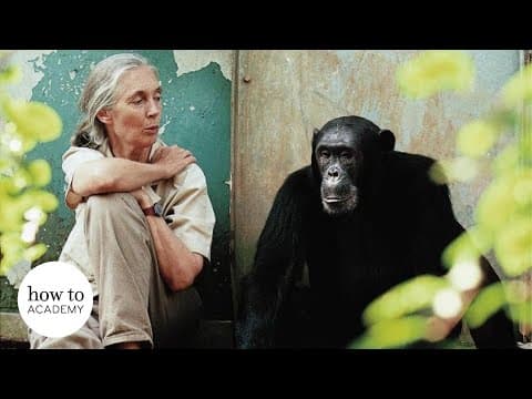Dr Jane Goodall on Saving the Planet from Climate Change thumbnail