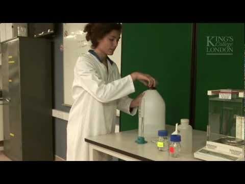 Making Stock Solution for use in Pharmacology practicals thumbnail