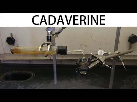 How to Extract Cadaverine Safely and Efficiently thumbnail