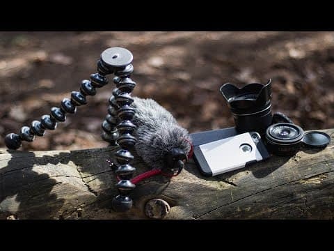 5 THINGS ALL OUTDOOR PHOTOGRAPHERS NEED! thumbnail