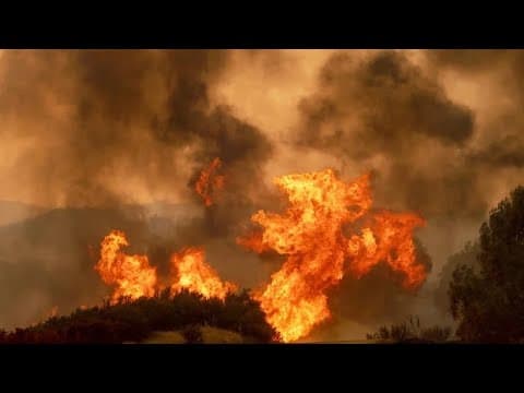 Wildfires are out of control. Computer Vision can stop them. thumbnail