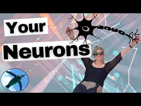 What Are Neurons and How Are They Classified? thumbnail