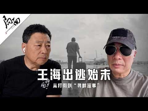 What happened to Wang Hai during the crackdown on fake litigation? thumbnail