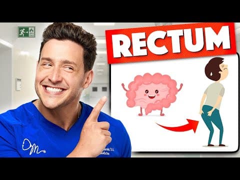 Doctors Nominate The Most Important Organ thumbnail